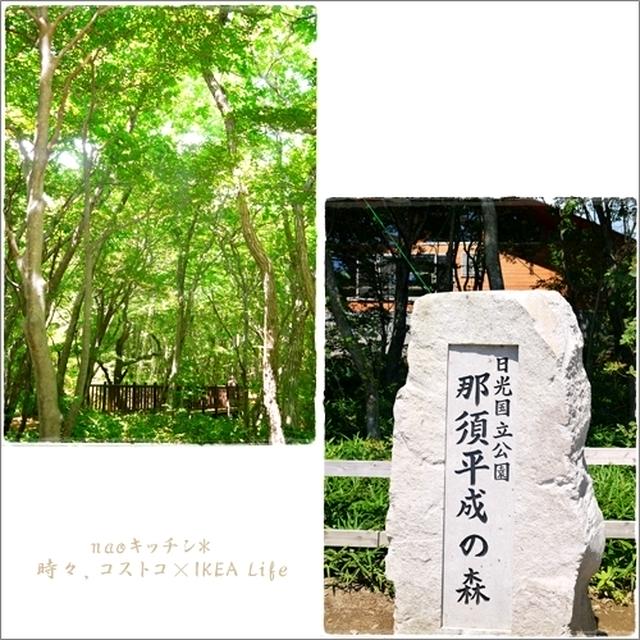 那須高原*平成の森×乙女の滝そして那須野菜♪