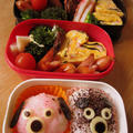 5月20日はわんこのお弁当