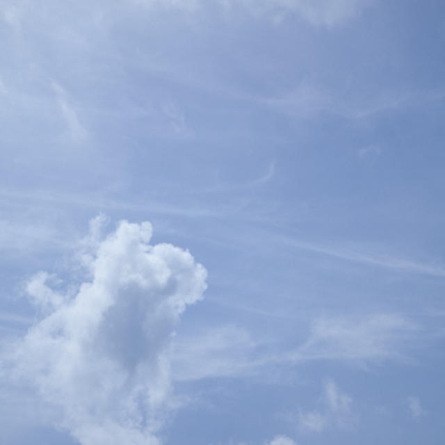 ６月８日（金）　　くもりのち晴れ　　28/19℃