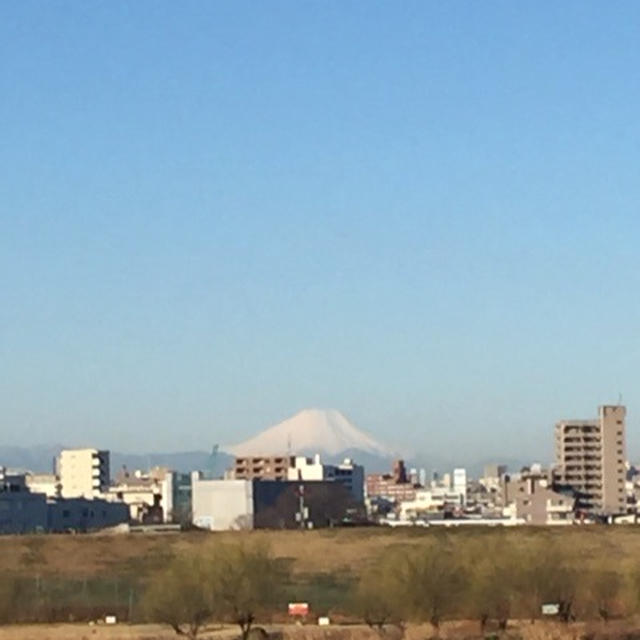 今朝のウォーキング風景