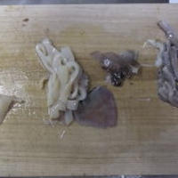 たらこスパゲティ