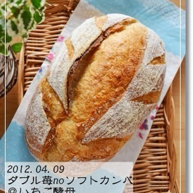 ダブルいちごnoソフトカンパ