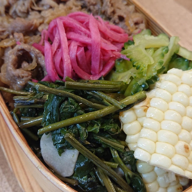 牛丼弁当