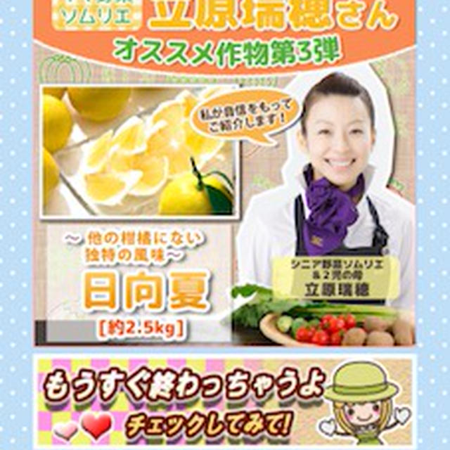 「畑っぴ」おススメ作物第三弾は宮崎県産の『日向夏』☆