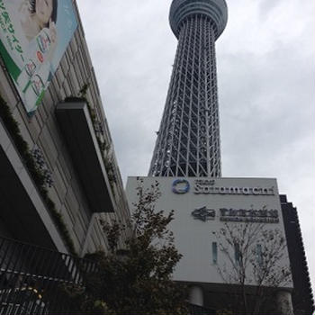 甘くなかったぁ。