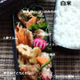 本日の高校生息子弁当