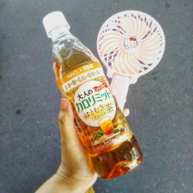 お出かけのお供☆大人のカロリミットはとむぎブレンド茶＆ハンディ扇風機