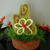 BuOn aNno　AnD hApPy NeW yEaR 2012 !!