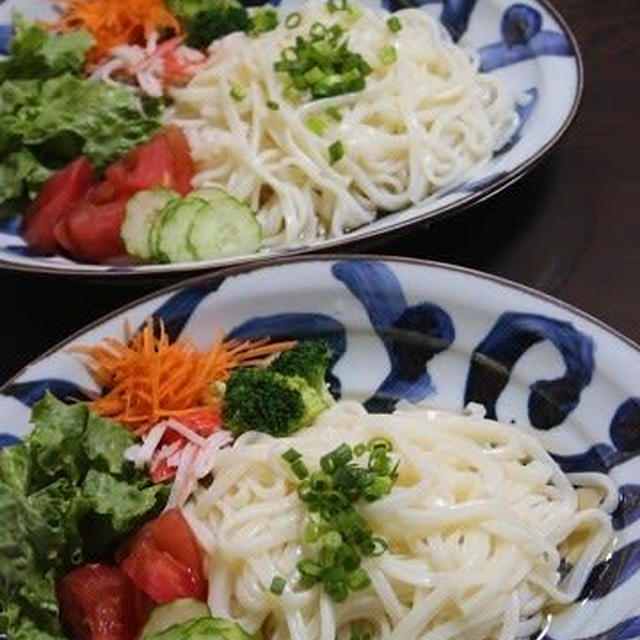 5月24日　　サラダうどん