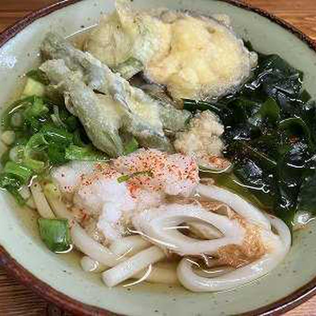 野菜天わかめうどん。釜揚げちりめん丼