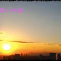 綺麗な夕日