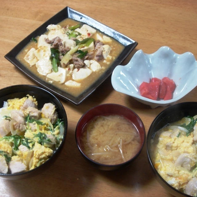昨夜は質素に・・・親子丼など～