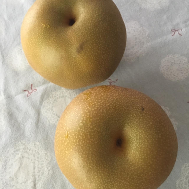 香良洲の梨
