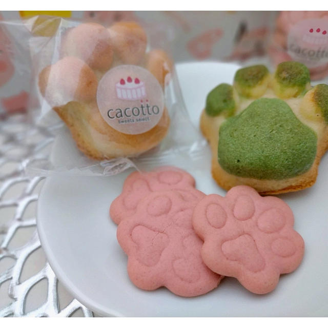 一目惚れ♡肉球フィナンシェと肉球クッキー「cacotto（カコット）」@川越