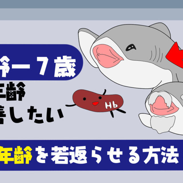 【決定版】血管年齢－７歳が語る若返りする飲み物とは？【下げるには？改善する方法を紹介】