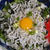 7月12日　　しらす丼