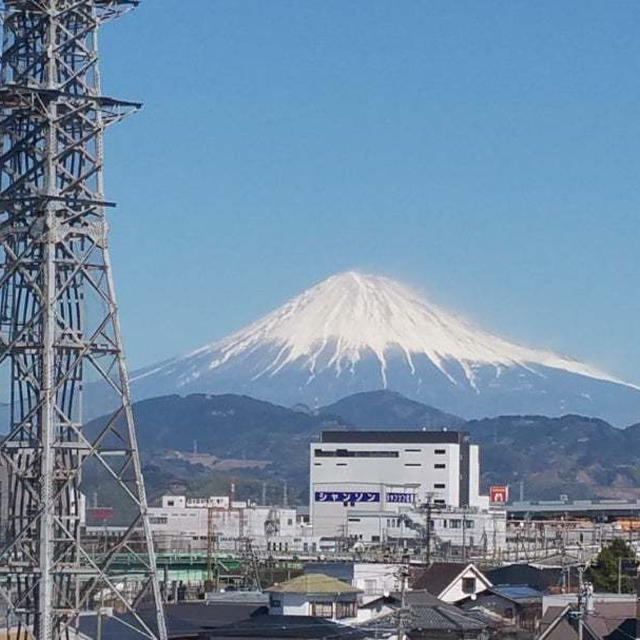 ふるさと納税で静岡を支援