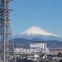 ふるさと納税で静岡を支援