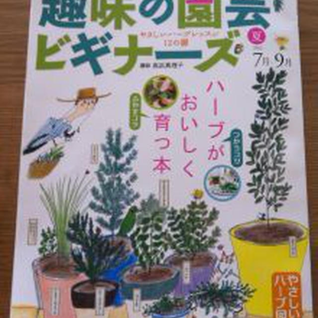 次はハーブを極めます！