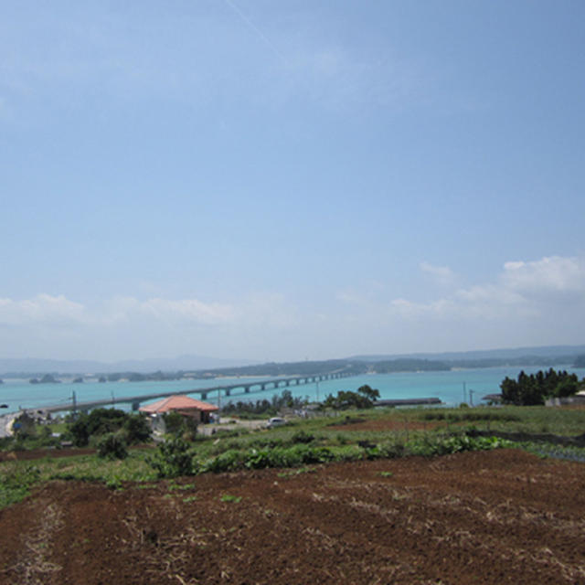 沖縄旅行2012