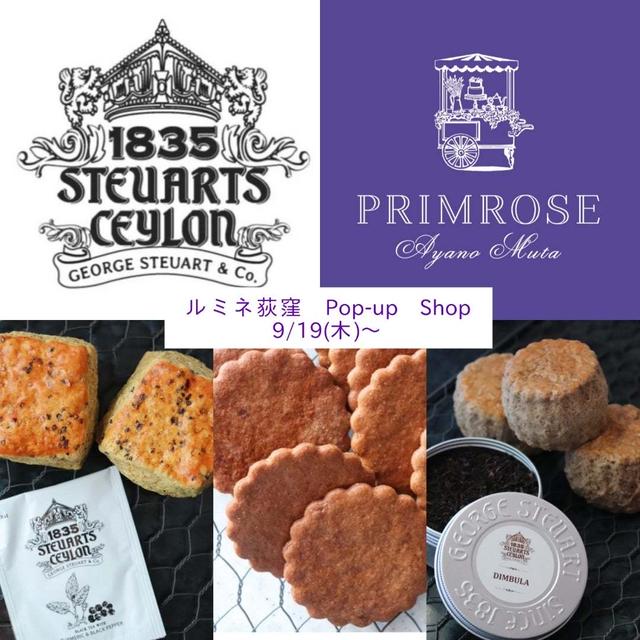 【9/19(木)〜】ルミネ荻窪店POP-UP!