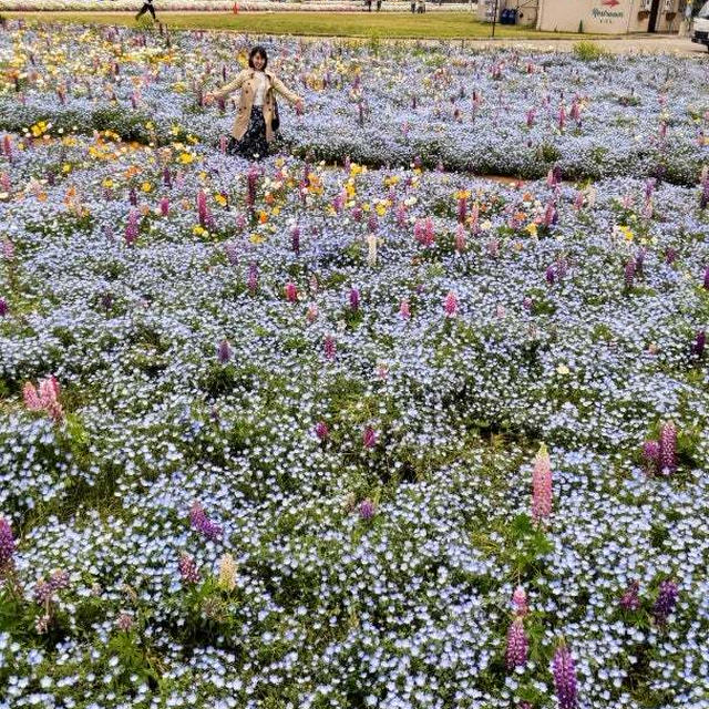 大型連休後半は雨の日も？