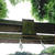 参拝 一宮神社