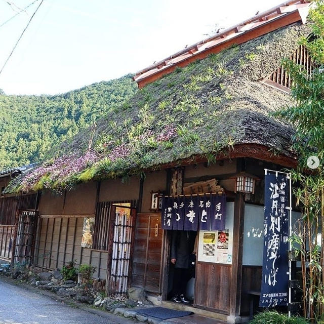 ジブリなお蕎麦屋さん。