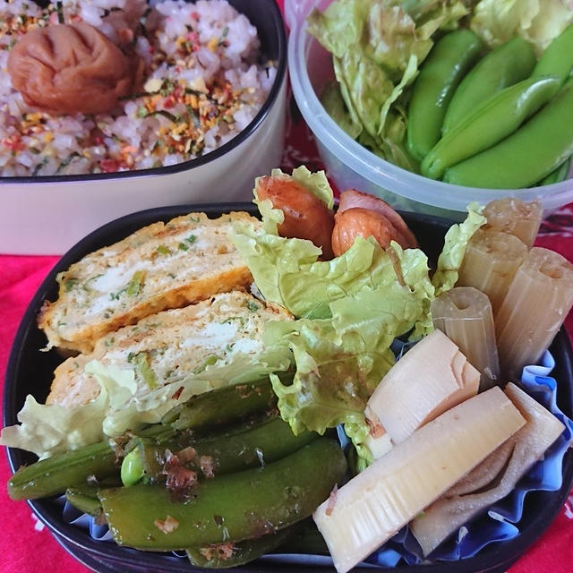 サニーレタス♪・・・・今日の節約お弁当♪