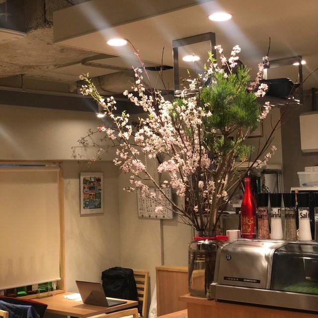 少し早い桜
