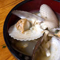 ホタテの稚貝でお味噌汁