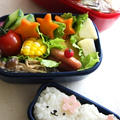 Lunch Box 20100706