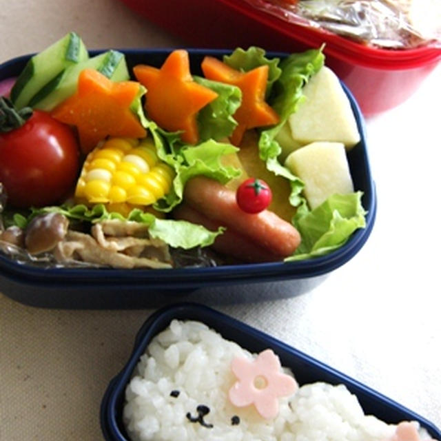 Lunch Box 20100706