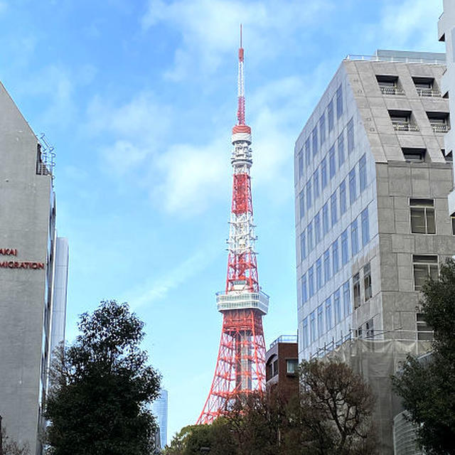 東京タワーの外階段を下りて＆アメ横で買い物♪