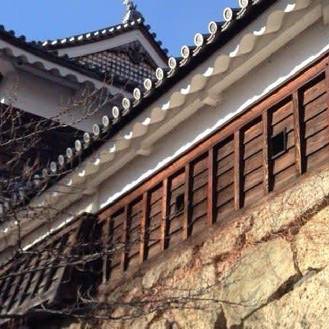 寒い朝の上田城（真田幸村の城）