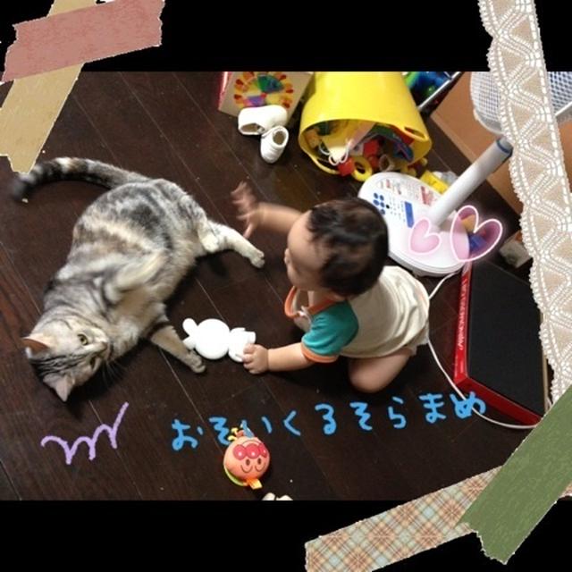 そらまめくん１歳。手作りパン。