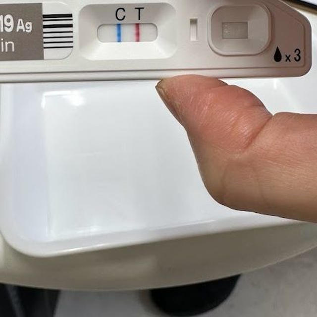 コロナに罹った話その③