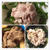 【技・ひと工夫】柔らかくて美味しい☆豚スライス肉のしゃぶしゃぶの仕方