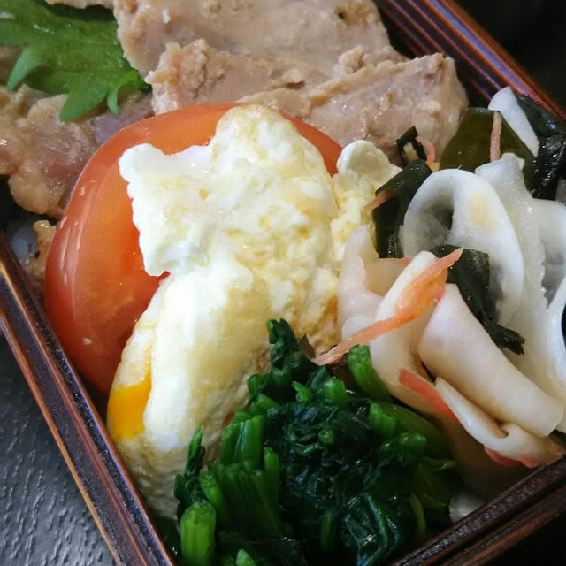 味噌漬けとカブのサラダ弁当