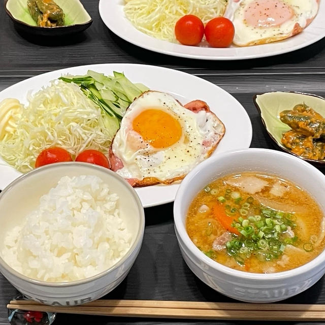 【おうちごはん】夏休みの3食ごはんと癒やしの植物モーニングルーティン