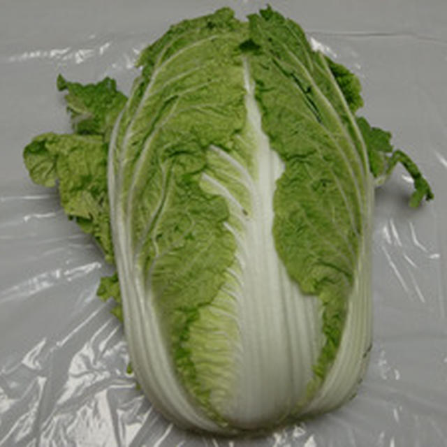 強首地区産　強首白菜
