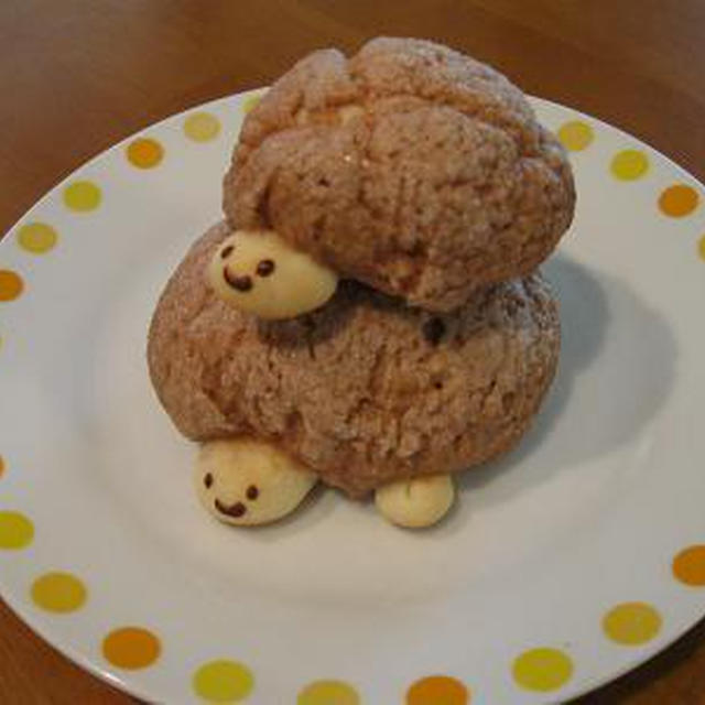 親ガメ、子ガメ