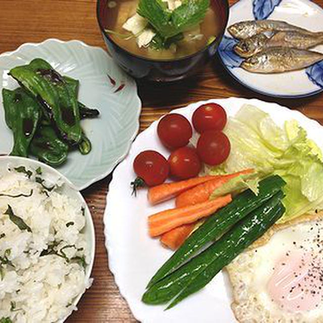 採りたて野菜の朝昼ごはん。風呂場で遊ぶきなこ