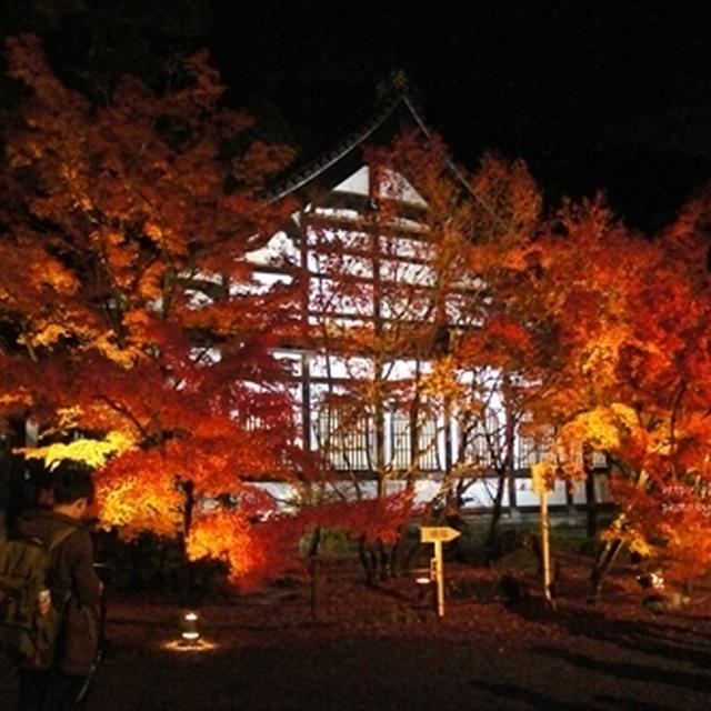 ライトアップ＠永観堂・知恩院