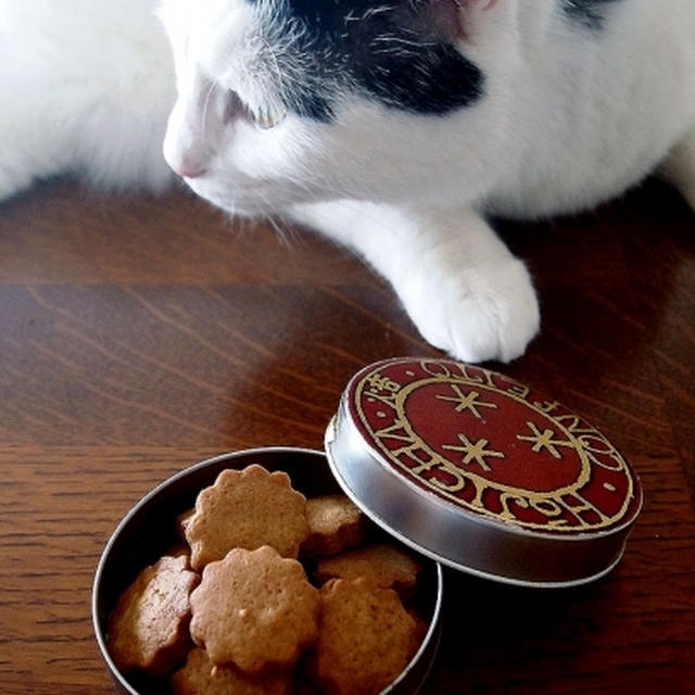 珈琲クッキー＆カンカンに萌え・・にゃ♪