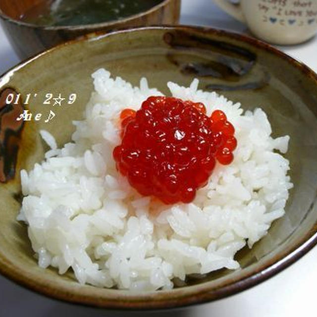 筋子ご飯