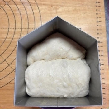 家。