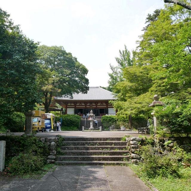 久安寺の紫陽花#最近撮った写真は
