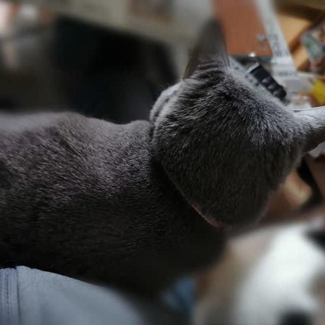 新しい甘え方