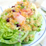 Salmon and Quinoa on Romaine Boat with Lemon Mustard Dressingサーモンとキノアのせレタスボート
